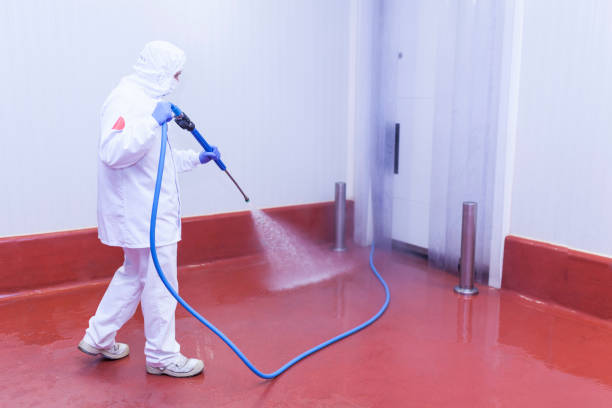 Reliable Centerville, OH Pressure Washing Services Solutions