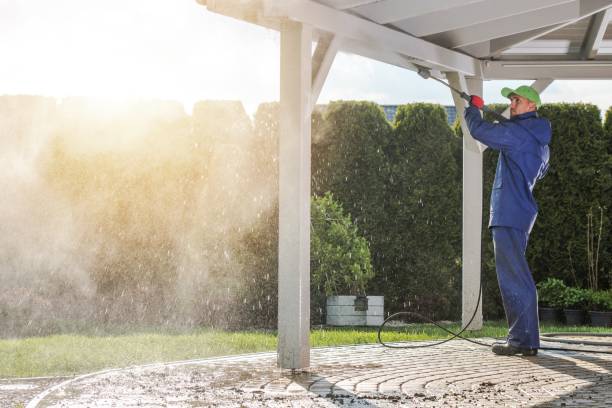 Best Roof Cleaning and Mildew Removal in Centerville, OH